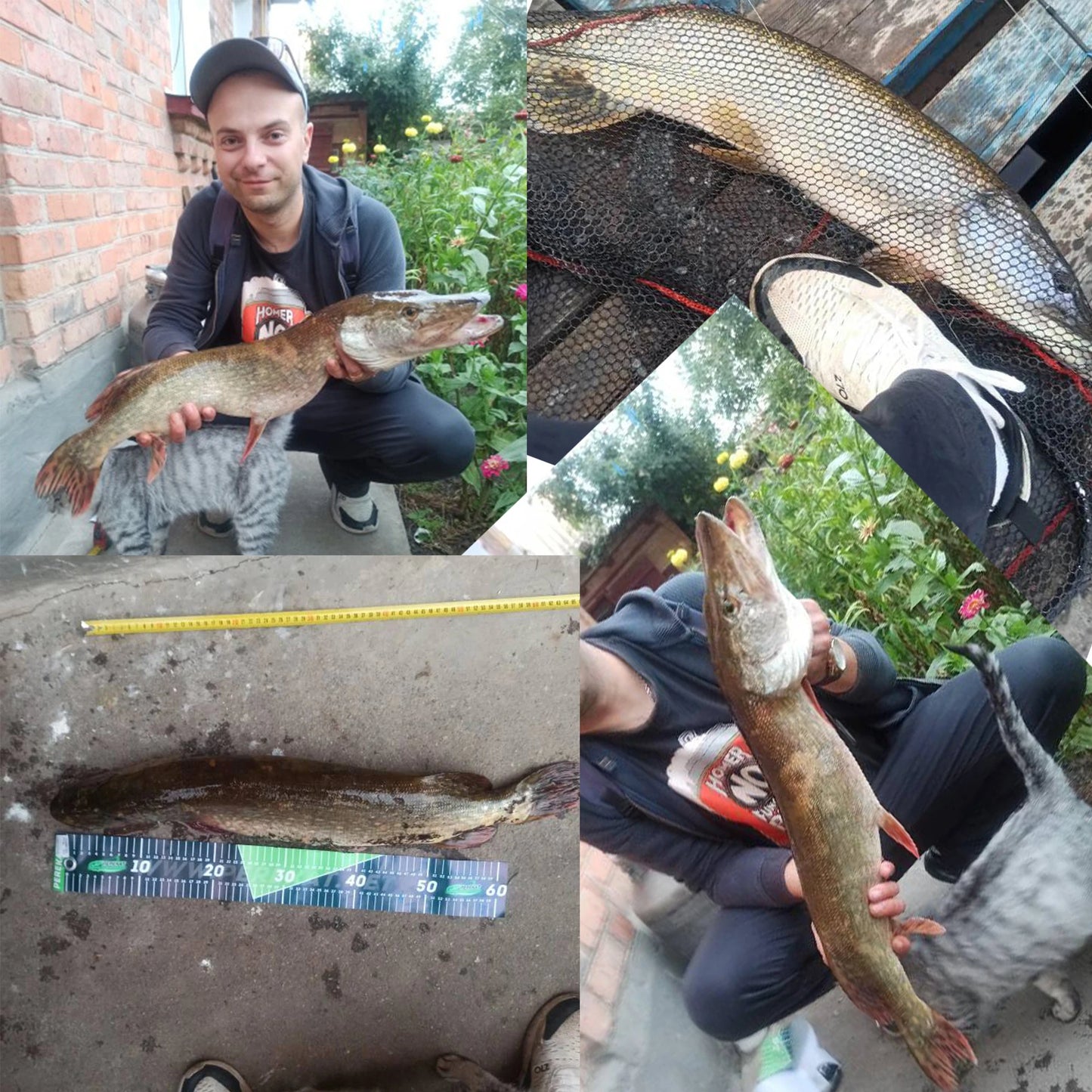 BIUTIFU Bigfish Carp Surfcasting Rod T800 Carbon 25 To 30lb